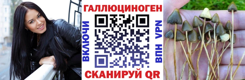 Псилоцибиновые грибы ЛСД  маркетплейс клад  Теберда  цены  